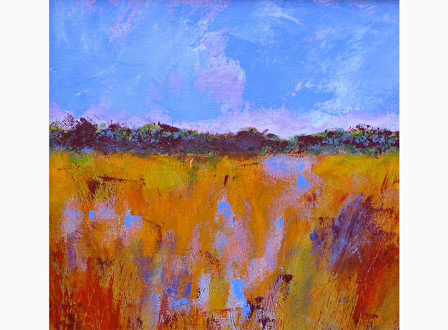 Colors-of-the-Marsh